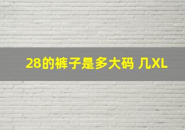 28的裤子是多大码 几XL